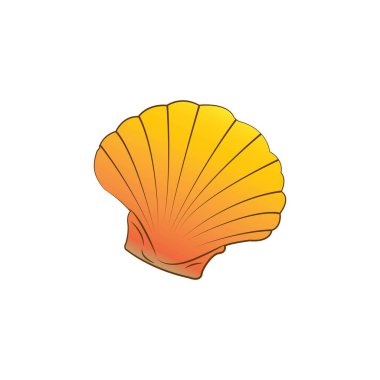 kabuk simgesi logo vektör tasarım şablonu