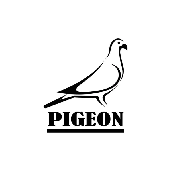 Pigeon Icône Logo Vectoriel Modèle Conception — Image vectorielle