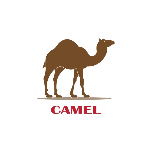 Шаблон Векторного Дизайна Логотипа Верблюда — стоковый вектор