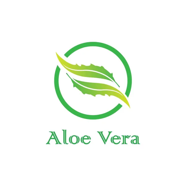 Aloe Vera Icon Logo Vector Design — Image vectorielle