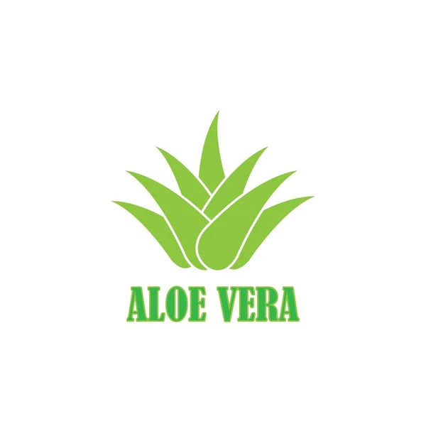 Векторный Дизайн Логотипа Алоэ Вера — стоковый вектор