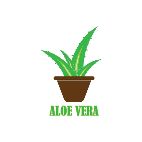 Векторный Дизайн Логотипа Алоэ Вера — стоковый вектор