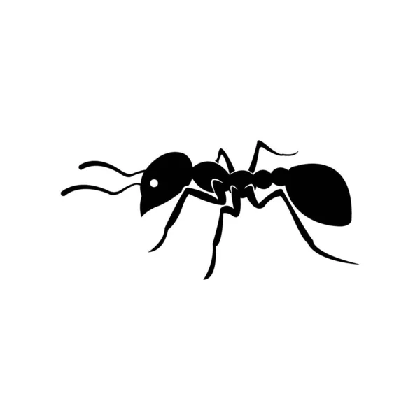 Ant Icon Logo Vector Design — Stock Vector