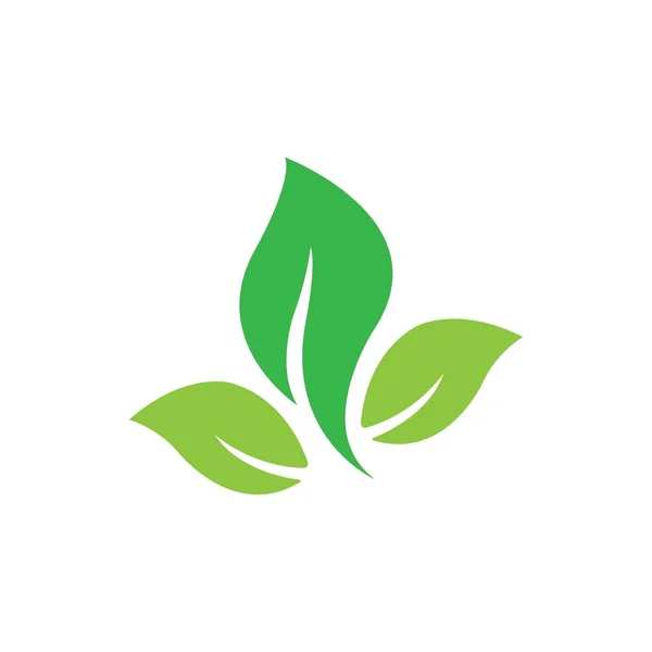 Leaf Icon Logo Vector Design Template — Stok Vektör