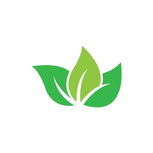 Leaf Icon Logo Vector Design Template — Stockvector