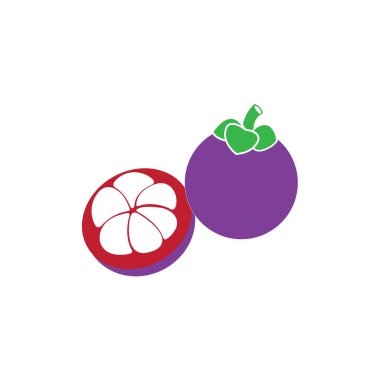 mangosteen simge logo vektör tasarım şablonu