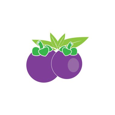 mangosteen simge logo vektör tasarım şablonu