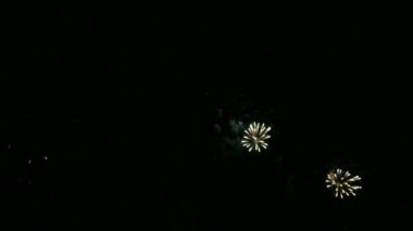Karanlık gece gökyüzünde parlayan renkli havai fişeklerin 4K videosu