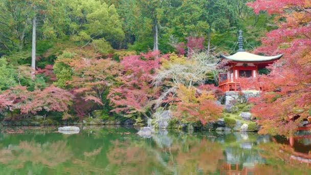 Templo Daigo Con Arces Colores Otoño Kyoto Japón — Vídeos de Stock
