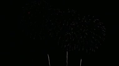 Karanlık gece gökyüzünde parlayan renkli havai fişeklerin 4K videosu