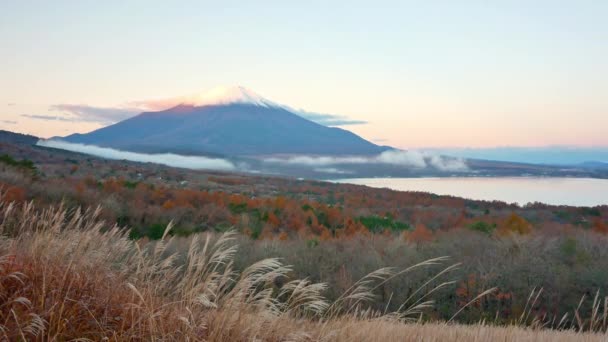 Kolorowy Jesienny Krajobraz Górą Fuji Japonii — Wideo stockowe