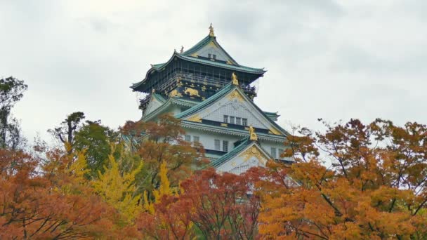 Ναός Φθινόπωρο Στο Κιότο Ιαπωνία — Αρχείο Βίντεο