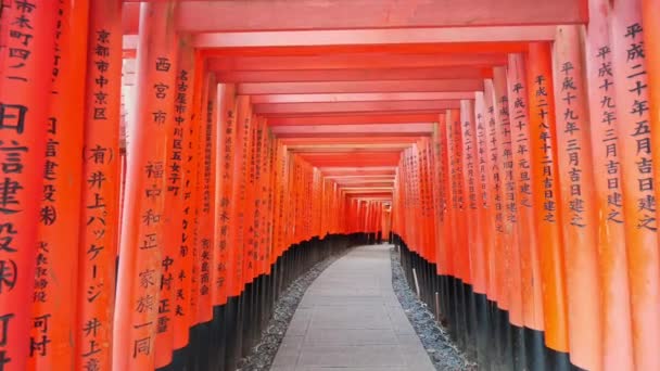 京都の伏見稲荷神社の有名な鳥居 — ストック動画