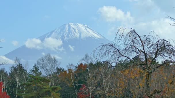日本富士山的五彩缤纷的秋天风景 — 图库视频影像