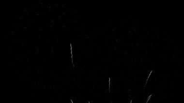 Kasvetli gece gökyüzünde parlayan 4k 'lık altın havai fişek videosu