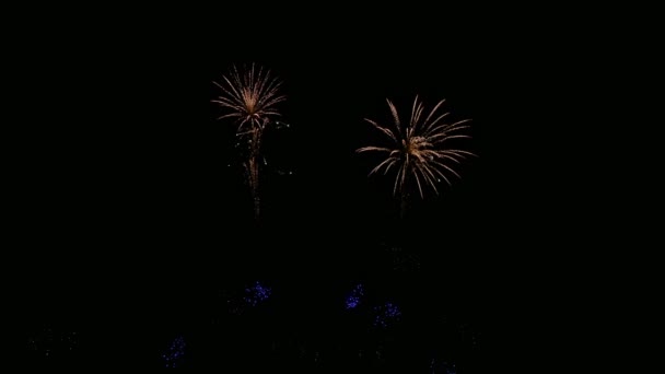 4K段金色烟火在干燥的夜空中闪耀的视频 — 图库视频影像