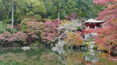 Japonya 'nın Kyoto şehrinde sonbaharda renkli akçaağaç ağaçları olan Daigo-ji tapınağı.