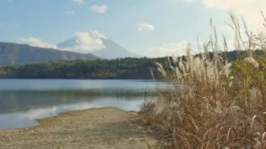Japonya 'daki Fuji Dağı ile renkli sonbahar manzarası