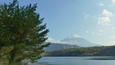 Japonya 'daki Fuji Dağı ile renkli sonbahar manzarası