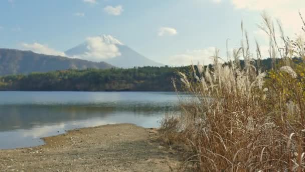 Barevná Podzimní Krajina Horami Fuji Japonsku — Stock video