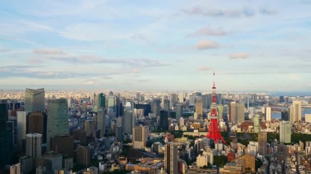 日本东京市的航拍图 — 图库视频影像