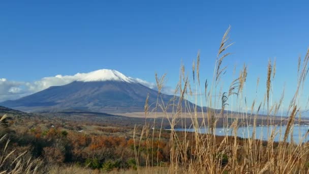 五彩缤纷的秋天 日本富士山 山崎湖 — 图库视频影像