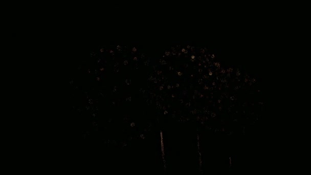 Video Colorful Fireworks Glowing Dark Night Sky — Stock Video