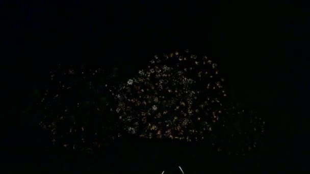 Βίντεο Από Πολύχρωμα Πυροτεχνήματα Λάμπουν Στο Σκοτεινό Νυχτερινό Ουρανό — Αρχείο Βίντεο