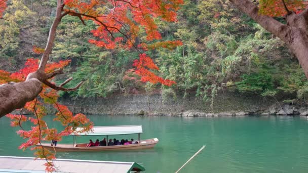 Kyoto Japan 2018年11月15日 船夫在河里对着船打孔 秋季里在日本京都的荒山 — 图库视频影像