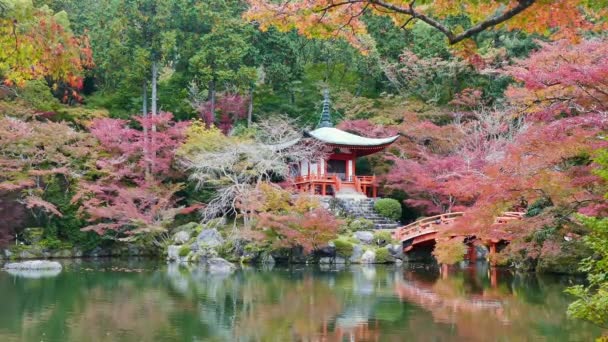 Храм Дайго Дзи Красочными Кленовыми Деревьями Осенью Киото Япония — стоковое видео