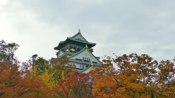 Daigo Tempel Med Färgglada Lönnträd Hösten Kyoto Japan — Stockvideo