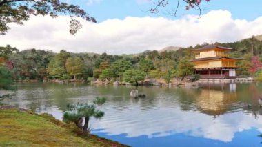 Parkta gölü olan güzel bir manzara. 