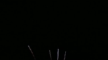 Bir gökyüzü siyah arka plan üzerinde havai fişek