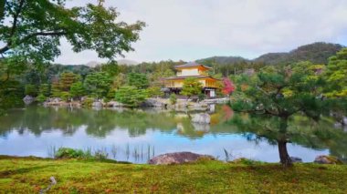 Parkta gölü olan güzel bir manzara. 