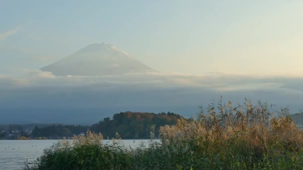 Höstlandskap Med Fuji Berg Och Yamanakako Lake Japan — Stockvideo