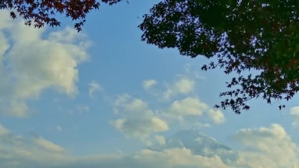 Colorido Otoño Con Montaña Fuji Japón Alrededor Del Lago Kawaguchiko — Vídeo de stock