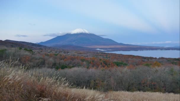 Färgglad Höst Med Mountain Fuji Japan Runt Sjön Kawaguchiko — Stockvideo