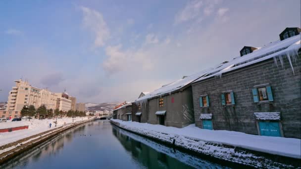 Otaru Japan February 2019 오타루 홋카이도 운하의 아름다운 겨울날 — 비디오