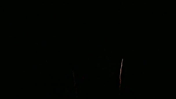 Footage Bright Festive Fireworks Dark Night Sky — Vídeo de Stock