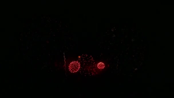 Footage Bright Festive Fireworks Dark Night Sky — Vídeos de Stock