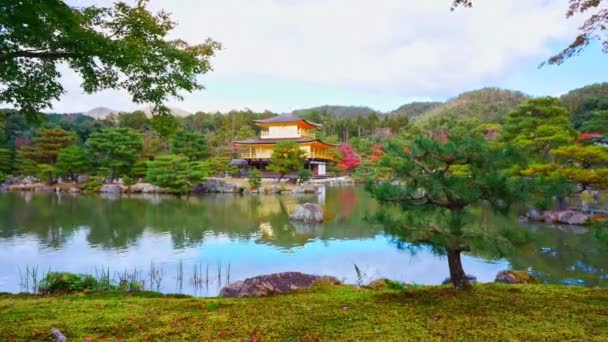 Picturesque Chinese Pagoda Autumnal Garden Colourful Foliage — Video Stock