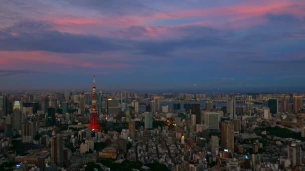 Luftaufnahme Der Stadt Der Morgendämmerung Mit Blauem Und Rosa Himmel — Stockvideo