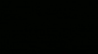 Karanlık gece gökyüzünde parlak şenlikli havai fişek görüntüleri