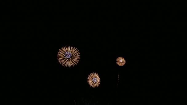 Footage Bright Festive Fireworks Dark Night Sky — Videoclip de stoc
