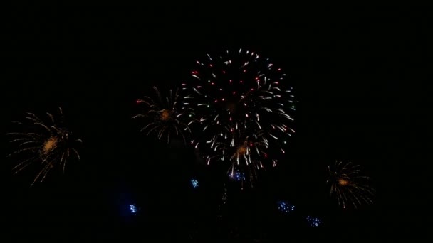 Footage Bright Festive Fireworks Dark Night Sky — Stok Video
