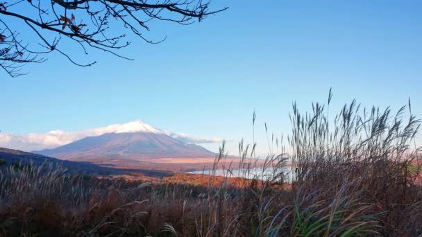 Scenic Footage Beautiful Fuji Mountain Sunrise — Stockvideo