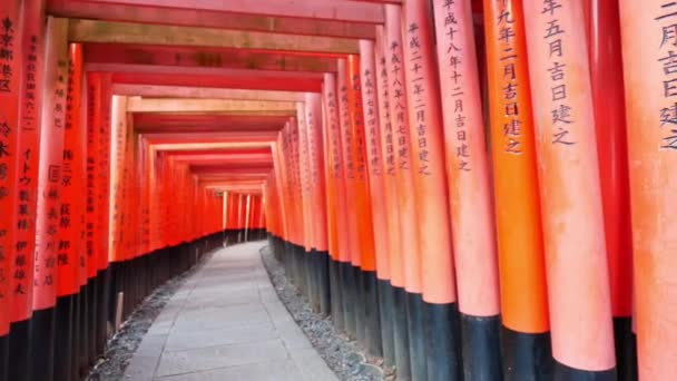 Fushimi Inari Shrine Sława Torii Kioto Japonia — Wideo stockowe
