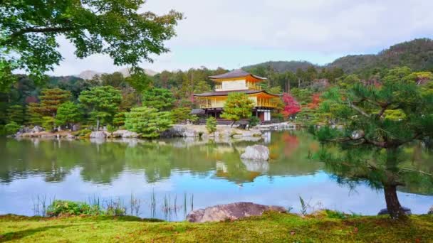 Fushimi Inari Shrine Fame Torii Kyoto Japan — стоковое видео