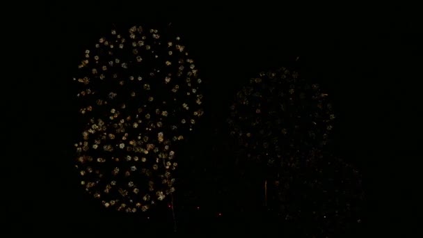 Bright Holiday Fireworks Black Night Sky — Stock Video