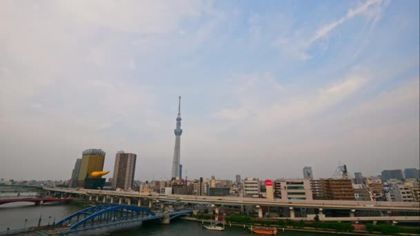 Токио Япония Сентябрь 2022 Года Токийская Башня — стоковое видео